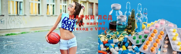сатива Богданович