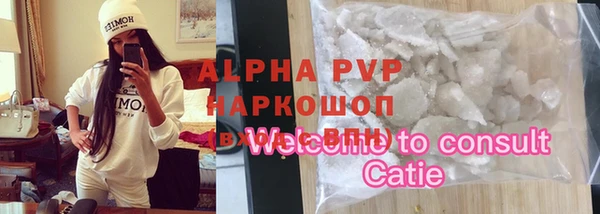сатива Богданович
