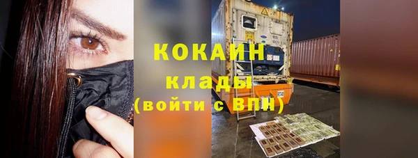 сатива Богданович