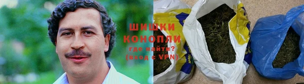 сатива Богданович