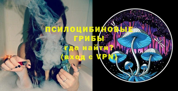 сатива Богданович