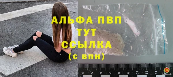сатива Богданович