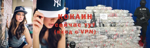 трава Сатка